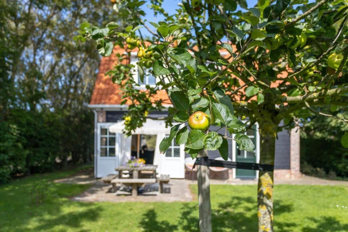 Het Kleine Huis At Buitenplaats Zeeuwse Liefde Westkapelle Extérieur photo